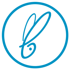 bdf8bd961c604b7240.png