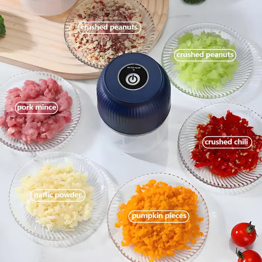 Household Electric Garlic Crusher