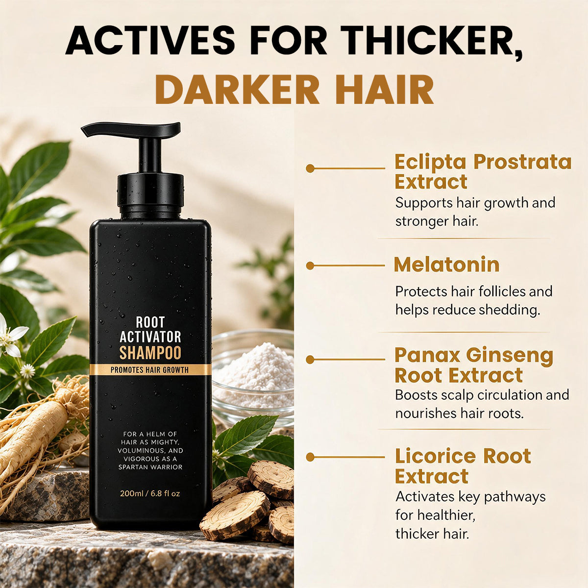 Valuethese Root Activator Shampoo