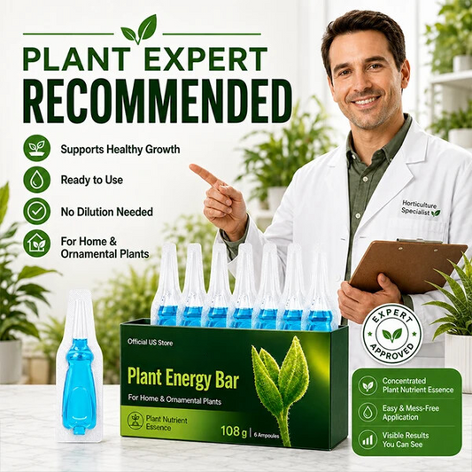 Official US Store  Valuethese® Plant Energy Bar