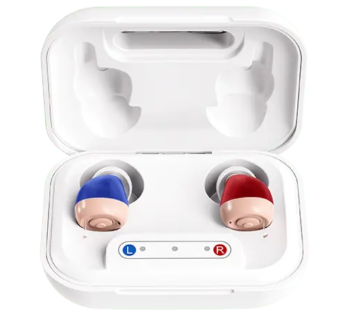 Valuethese Hearing Aid